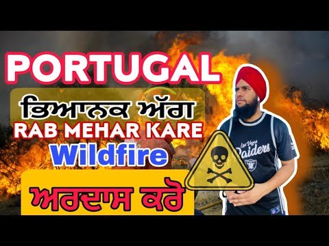 Portugal wildfire ( ਪੁਰਤਗਾਲ ਚ ਲੱਗੀ ਭਿਆਨਕ ਅੱਗ )|| rab mehar kare || portugal vich lagi agg ||