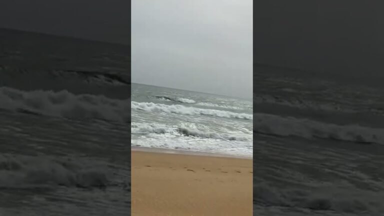 Praia de Vilamoura, Algarve, Portugal 🇵🇹 #praia #beach #vilamoura #viagens #travel #portugal