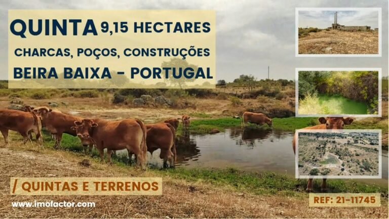 🌾 Quinta com 9,5 Hectares | Charcas, Poços e Construções | Portugal | €75000