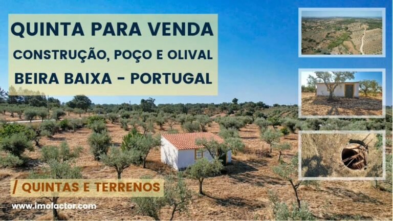 🔆 Quinta para Venda | Construção, Poço e Olival | Beira Baixa | Portugal | €19900