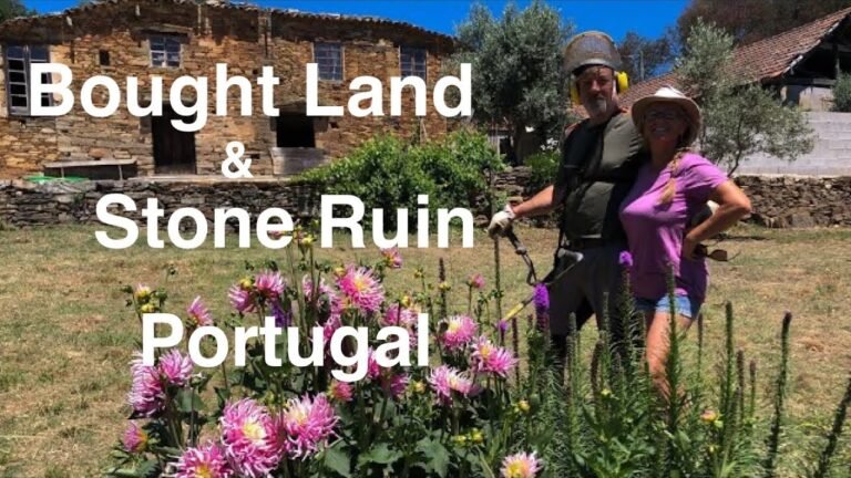 Restoring an abandoned Farm in Portugal [Ep. 1]