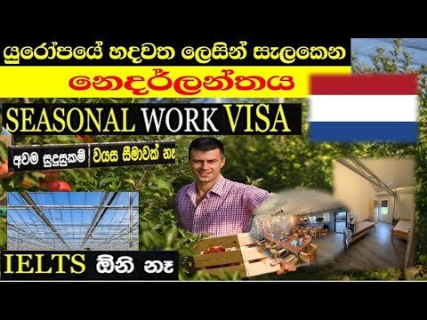 Seasonal Work Visa |Job Visa|NO IELTS |Work Permit Free| නෙදර්ලන්තයට යන්න ලේසිම ක්‍රමය |