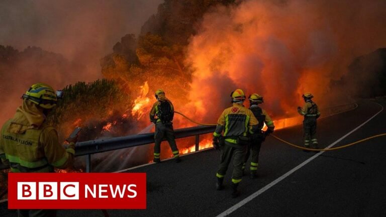 UK firefighters battle wildfires as extreme heat bakes Western Europe – BBC News