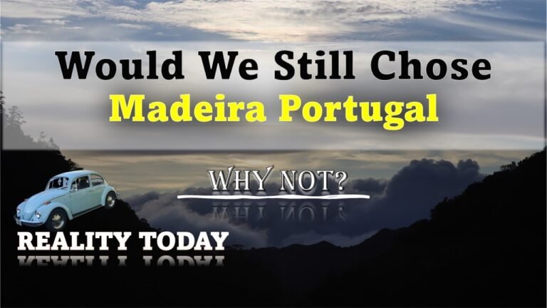 Why Not, Madeira | Moving To Portugal | It'll Be Fun!