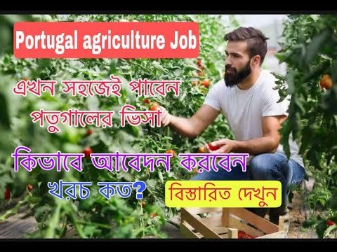 how to get protugal agriculture job [how to get portugal work visa]