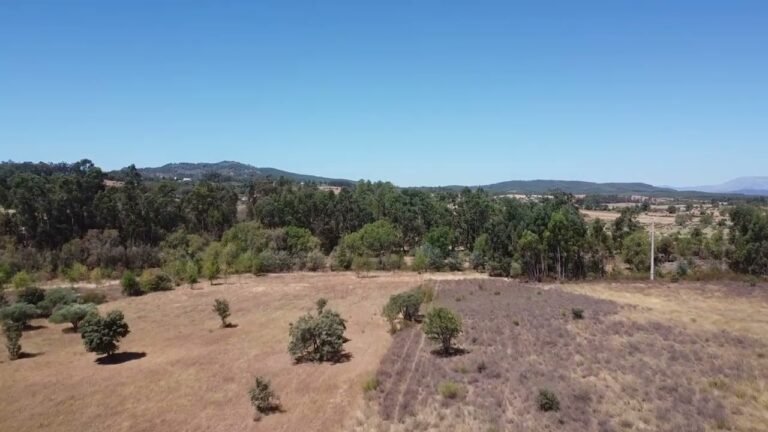 Rustic Land – Little river – 2.35 ha. Penamacor – Centro – Portugal. Price: 23.500€ Rustic Land – Little river – 2.35 ha. Penamacor – Centro – Portugal. Price: 23.500€