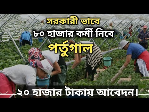 সরকারী ভাবে পর্তুগালে ৮০ হাজার কর্মী নিয়োগ | Portugal Work Permit Visa| Job Seeker Visa 2022