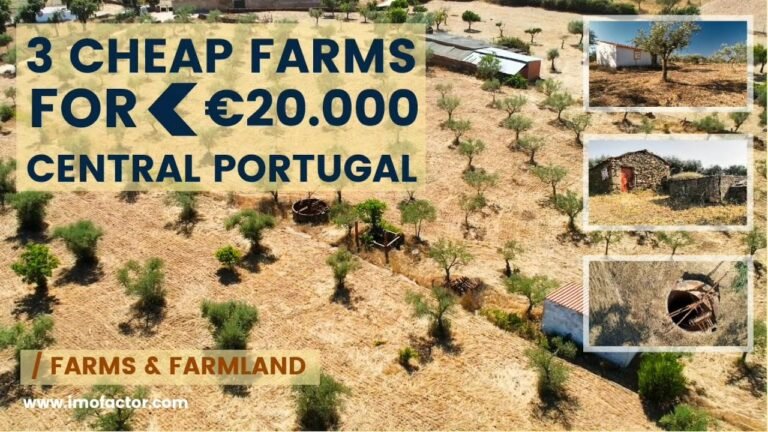 🌄 3 Cheap Farms for Sale Under 20000€ | Central Portugal