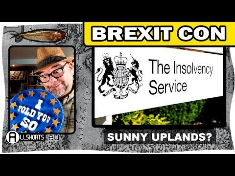 BREXITEERS Plunged Businesses into Crisis, are they in DENIAL?