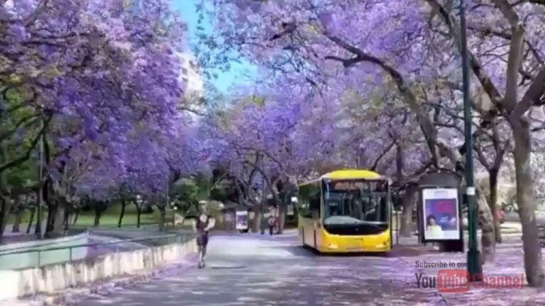 Beautiful Streets of Portugal | Travel Tube