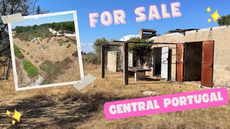 🇵🇹 Farm 7000 m2 | Building | 2 wells | €14.500,00