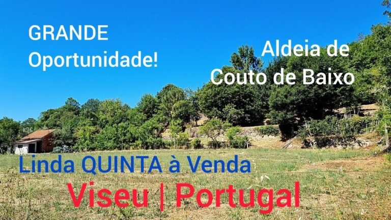 For Sale A Little Farm in Portugal €55.000 | Quinta de aprox. 1 hectare à Venda em Viseu | Portugal