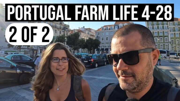 Is this Goodbye???🚂✈️🏙️  | PORTUGAL FARM LIFE S4-E28 (PART2)