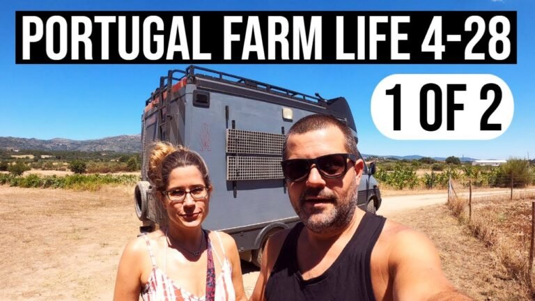 Its a secret!!!🌊🚑🐕  | PORTUGAL FARM LIFE S4-E28 (PART1)