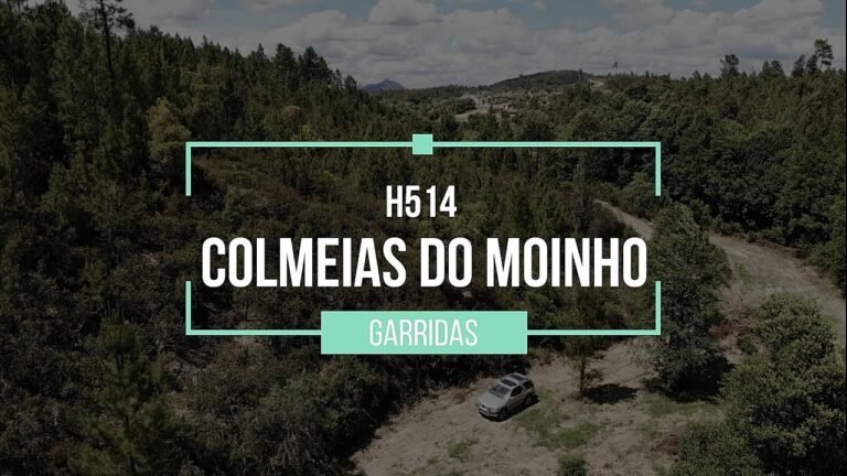 Off grid property with water stream –  Colmeias do Moinho Video tour