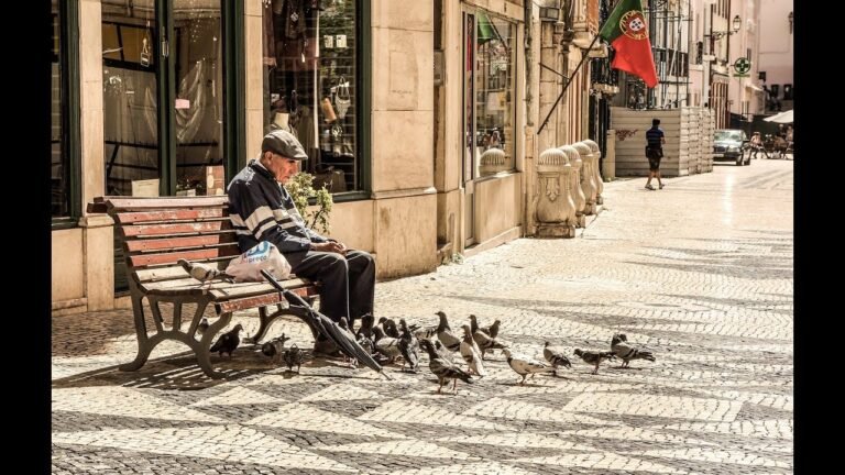 Onde trabalham os portugueses? Sector económico da sociedade portuguesa.