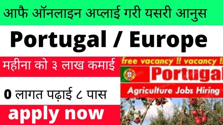 Online apply गरेको २० दिन मा पोर्चुगल working | how to apply portugal work visa from nepal |