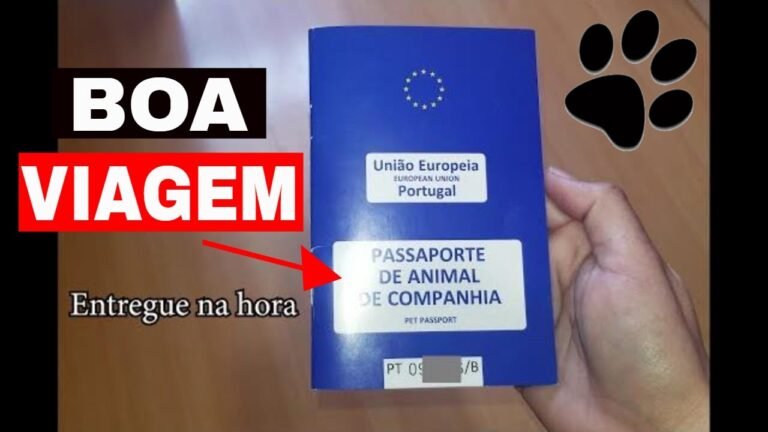 Passaporte Europeu para cães e gatos em Portugal TUTORIAL COMPLETO