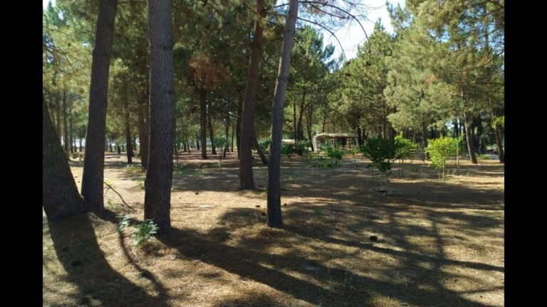 Plot Location of BK Seville in Sebutal, Portugal – Caravans in the Sun Mobile Homes for Sale