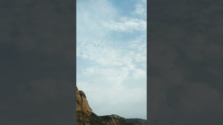 Praia Vale furado (Nazaré/Portugal) #seagulls #gaivotas #praia #beach #Nazare #portugal