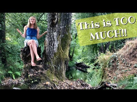 This is Too Much! | Struggling Alone & Off-Grid