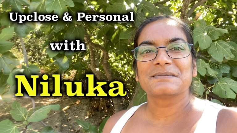 Upclose and Personal with Niluka on her Portugal Farm (23)