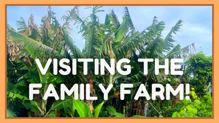 VISITING THE FAMILY FARM IN PORTUGAL! (AZORES) 👩‍🌾🌴☀️