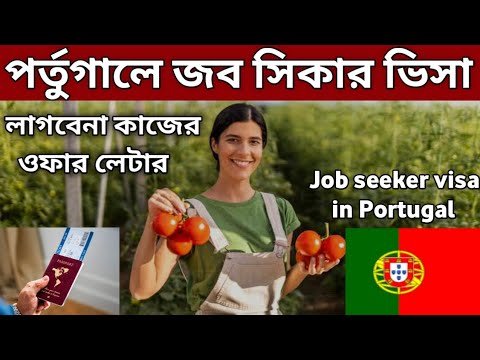 কাজের ওফার ছাড়াই পর্তুগালে কাজের ভিসা!🤩 Job seeker visa in Portugal.