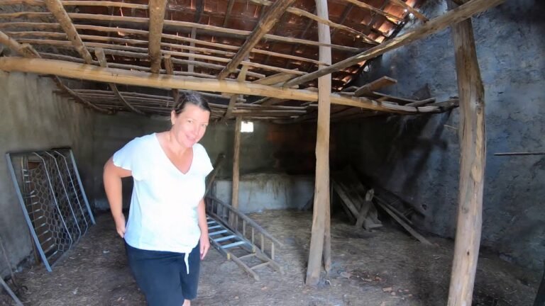 Buying a Farm in Portugal – Part 2: Four From Our Short List
