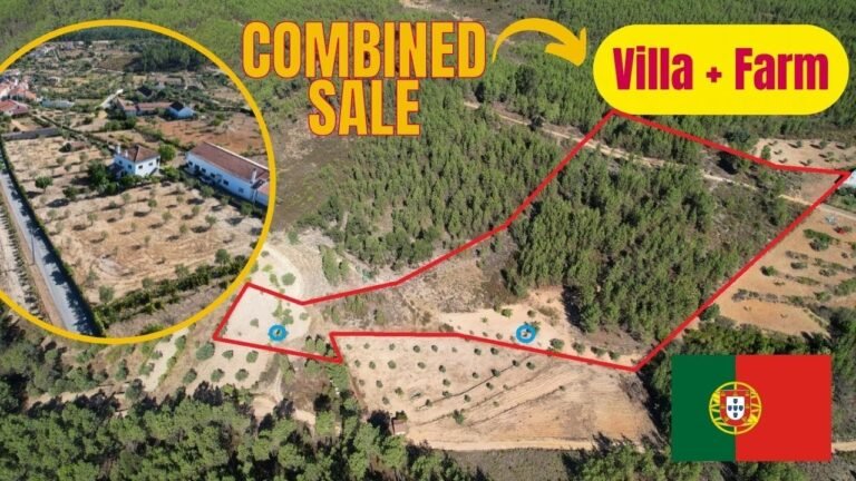 🇵🇹 Combined sale Villa + Farm | Central Portugal | €139.000,00