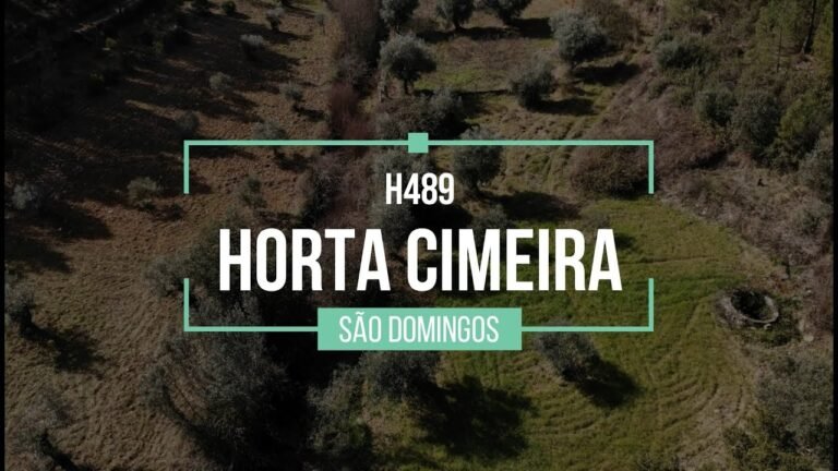 For sale 5000 m2 off-grid property near Sarzedas For sale 5000 m2 off-grid property near Sarzedas