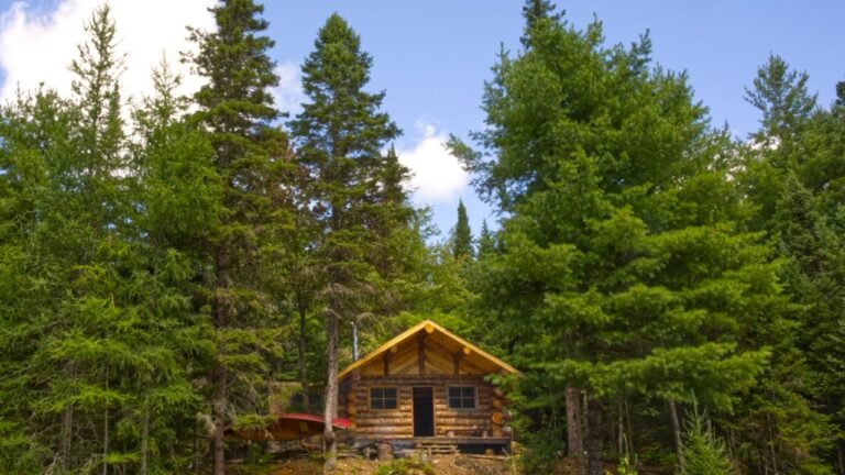 Full Off Grid Log Cabin Tour