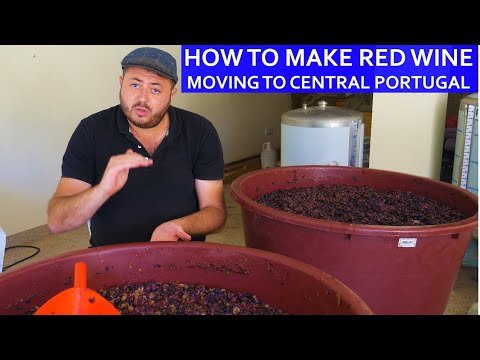 HOW TO MAKE RED WINE – OUR HOMESTEAD LIFE CENTRAL PORTUGAL