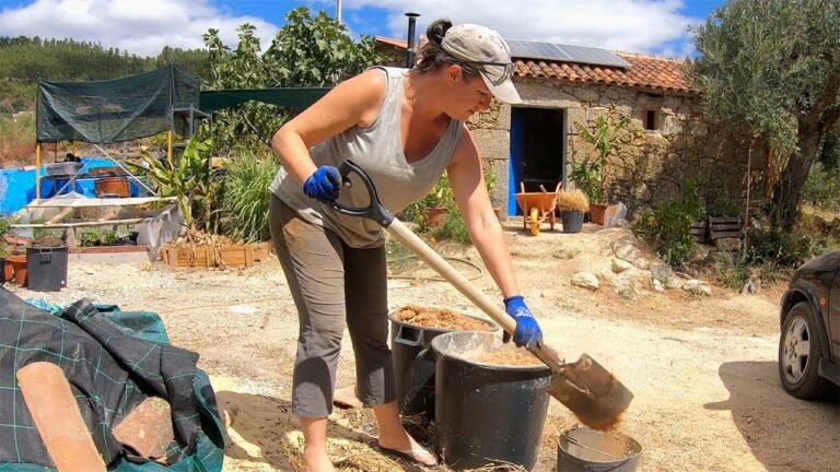 Natural Building with Cob Inside My Stone Tiny House in Portugal – Part 1