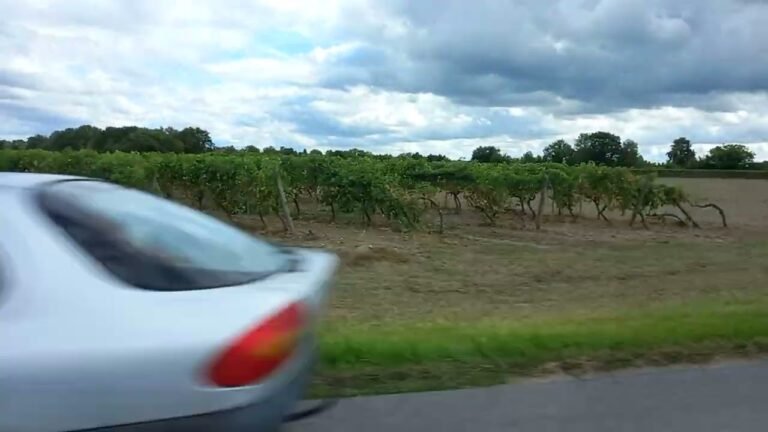 No. 6 – Driving Through Vineyards of Cognac on our way to our Tiny House in Portugal