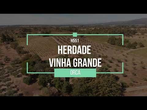 Portuguese Vineyard for sale: Herdade Vinha Grande – Video Tour