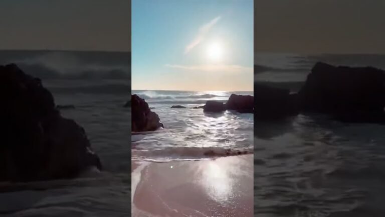 Praia do Amado, Portimão 🇵🇹 #beach #portugal #algarve #portimão (video by pajo7780 on ig)