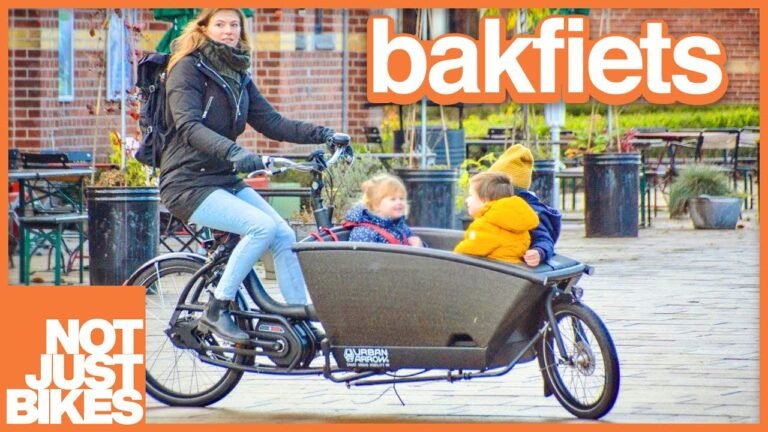 The Car-Replacement Bicycle (the bakfiets)