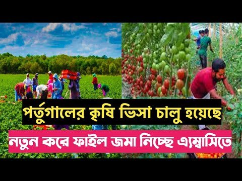 পর্তুগাল কৃষি কাজের ভিসা| পর্তুগাল ওয়ার্ক পারমিট ভিসা ২০২২| Portugal agriculture visa 2022