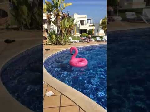 10 de junho de 2018