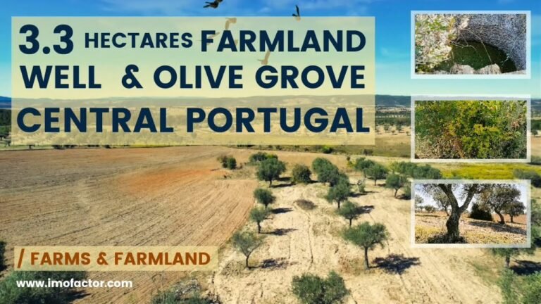 🌾 3.3 Hectares Farmland for Sale in Central Portugal | €50000