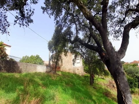 4 Bedroom Villa + Yard with 5.000m2 – Sobral do Campo – Castelo Branco – Portugal. Price: 79.000€