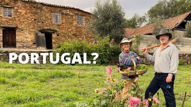 7 GOOD Reasons Why We Moved to Portugal | Country Living