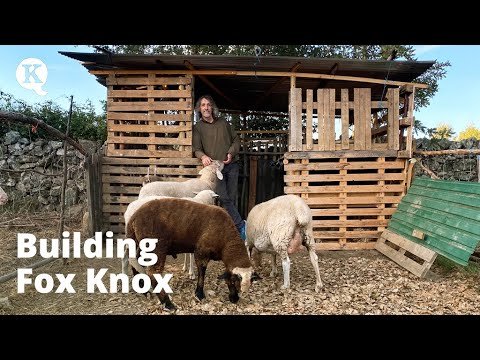 Building a fox proof sheep and lamb house out of pallets