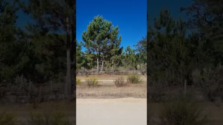 Comporta, Portugal. Beautiful Country Estate for Sale