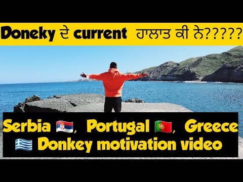 Donkey Serbia to #Portugaldonkey #greecedonkey #austriadonkey #donkey @YAAR PORTUGAL WALE