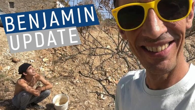 HOW IS OUR RE-PLANTED OLIVE TREE? | Living in Central Portugal HOW IS OUR RE-PLANTED OLIVE TREE? | Living in Central Portugal