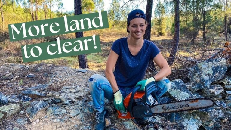 Hard work and enjoy life! Living OFF GRID!! Clearing an other part of our rural land in Portugal.