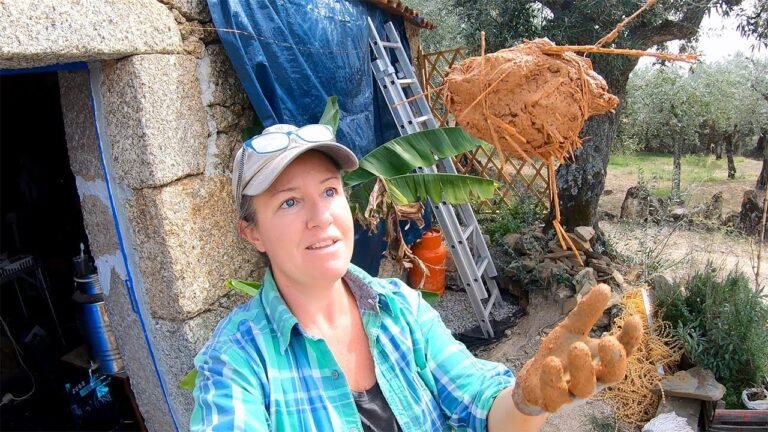 Let's Build Naturally! Making a Cob Wall Inside My Tiny House – Part 3