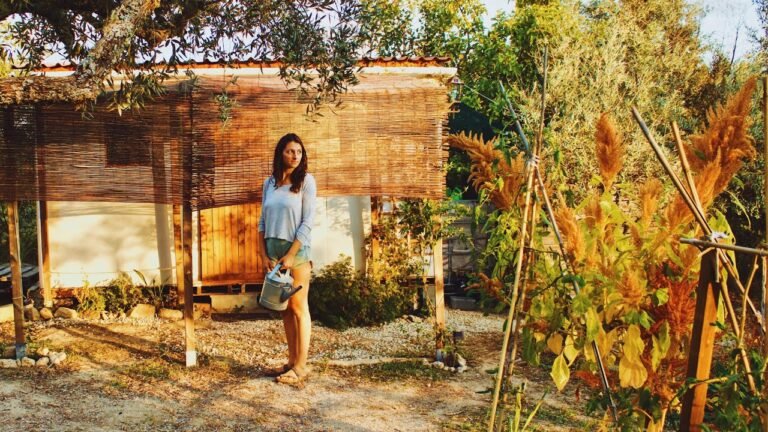 Living Off Grid on a Small Farm in Central Portugal. Autumn is Coming 🍁